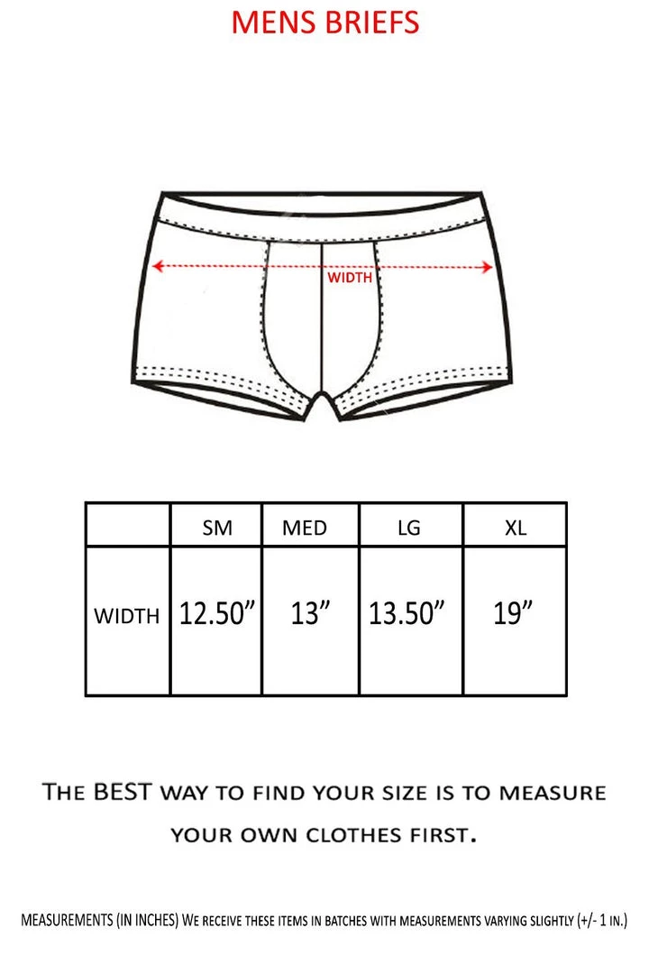 Shore Trendz USA American Flag Men's Briefs Swimsuit Swimwear