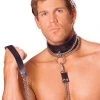 Elegant Moments Leather Choker With Chain And Leash