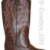 Pleaser Men's Wear Men's Western Boots PS-Cowboy-100