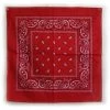 Ruffin Red Paisley Bandana