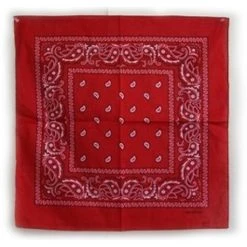 Ruffin Red Paisley Bandana