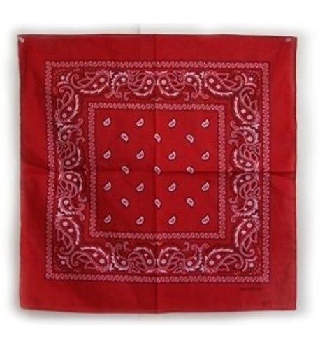 Ruffin Red Paisley Bandana